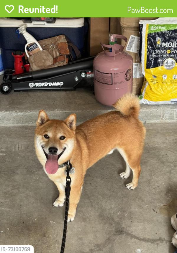 Reunited Male Dog last seen LAKE LEM DR AND ORANGE LAKE BLVD., Kissimmee, FL 34747