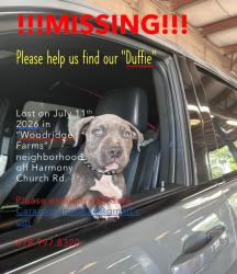 Lost Male Dog last seen Woodbridge Farms Subdivision, Gillsville, GA 30543