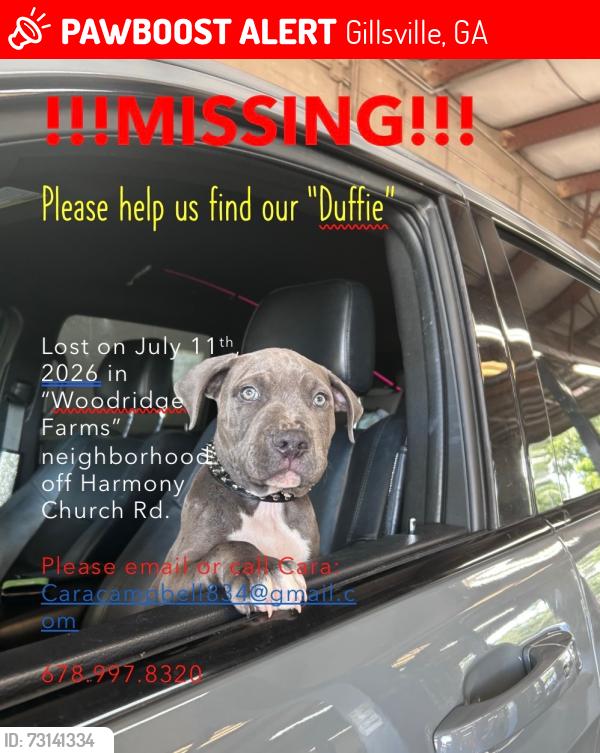 Lost Male Dog last seen Woodbridge Farms Subdivision, Gillsville, GA 30543