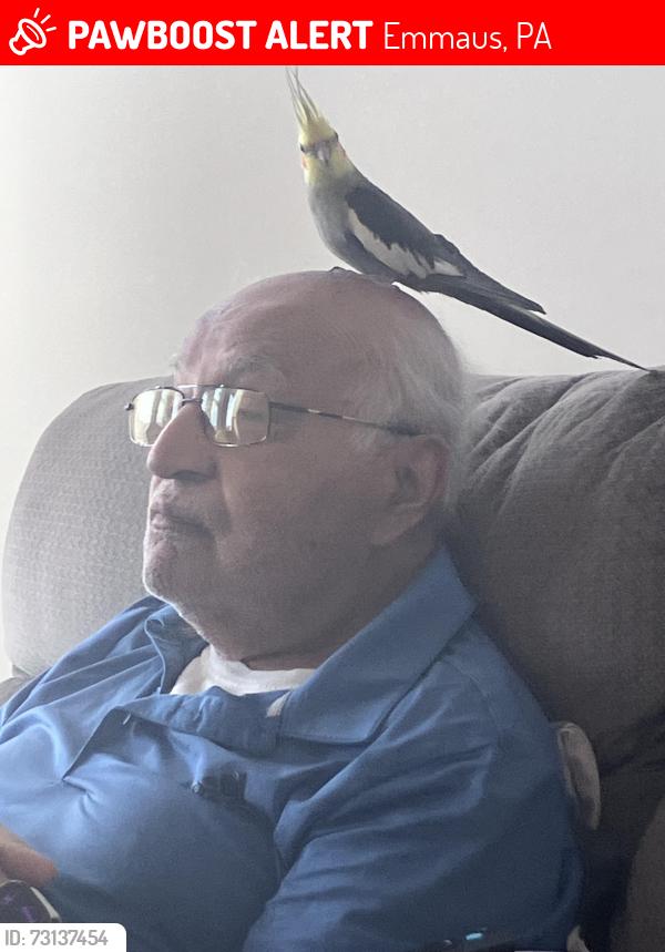 Lost Male Bird last seen Indian creek road, Emmaus, PA 18049