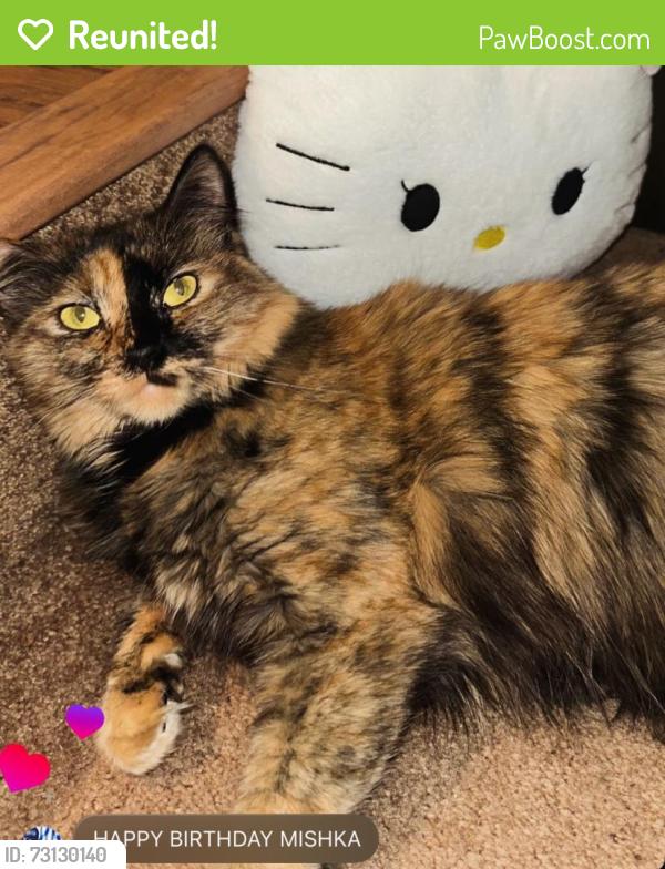 Reunited Female Cat last seen near the park, Burlington, Portland, OR 97203