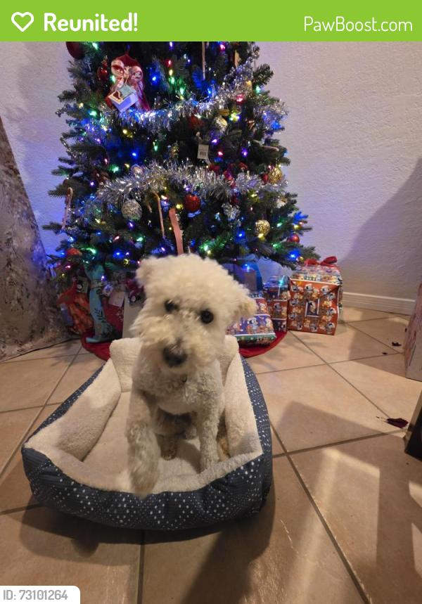 Reunited Male Dog last seen Mohawk and siuox, El Paso, TX 79925