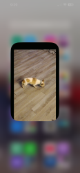Lost Female Dog last seen Sandy Dr/ Grant St/ Buffwood Subdivision/ Baker ,, Baker, LA 70714