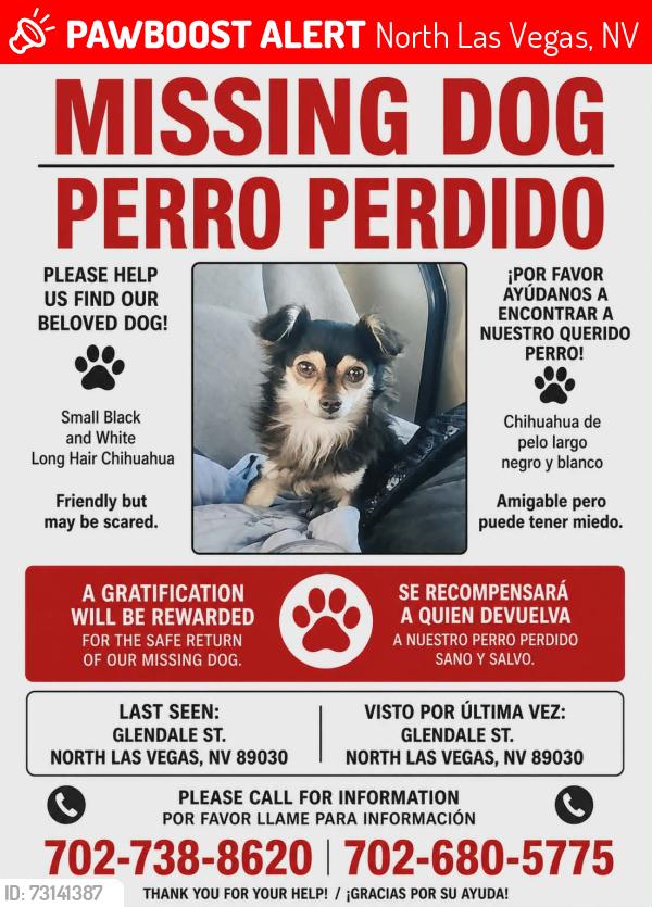 Lost Male Dog last seen North las vegas Nv 89030, North Las Vegas, NV 89030