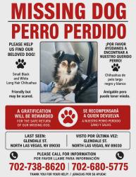 Lost Male Dog last seen North las vegas Nv 89030, North Las Vegas, NV 89030