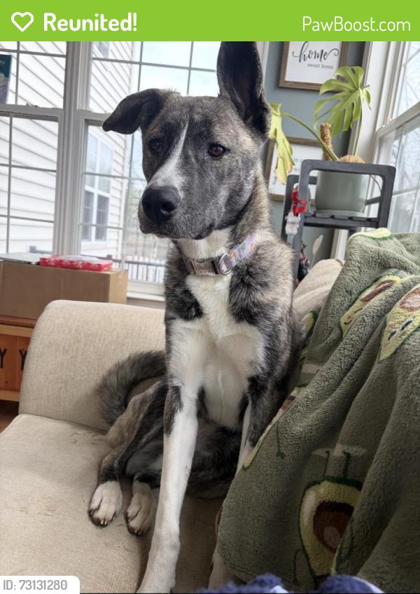 Reunited Female Dog last seen Firefighters park, Bensalem, PA 19053