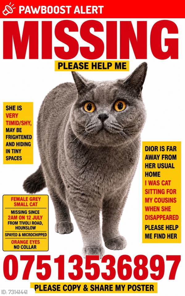 Lost Female Cat last seen Tivoli road, Greater London, England TW4 6AS