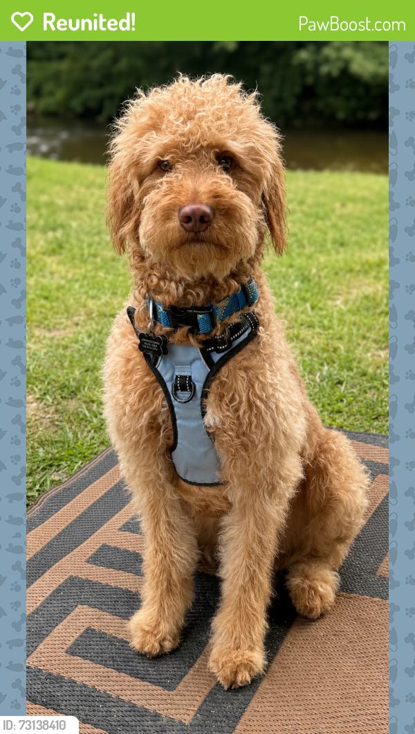 Reunited Male Dog last seen Davis Park/Belmont Central Elementary School, Belmont, NC 28012