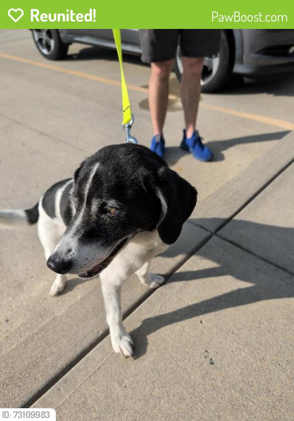 Reunited Male Dog last seen Timber trail, Miami Township, OH 45140