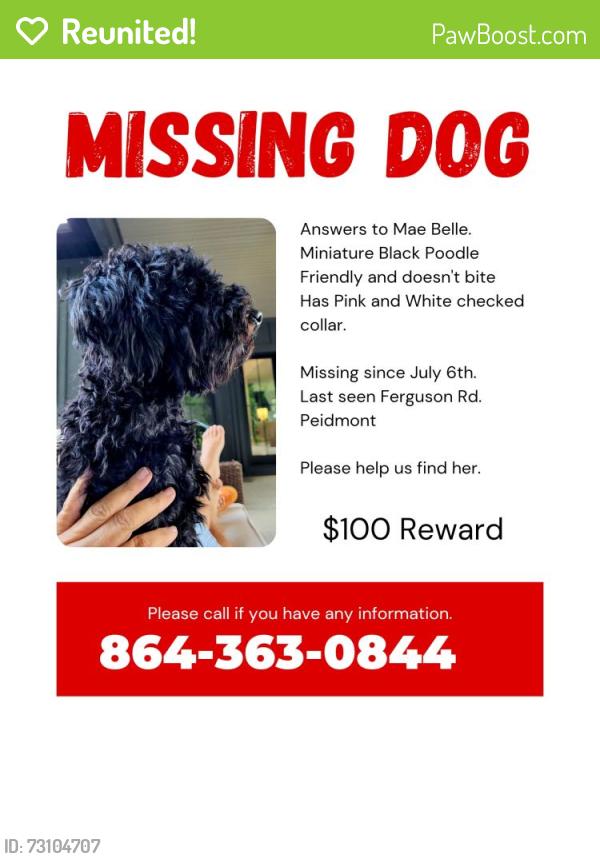 Reunited Female Dog last seen Log Shoals Rd/Ferguson Rd, Greenville County, SC 29673