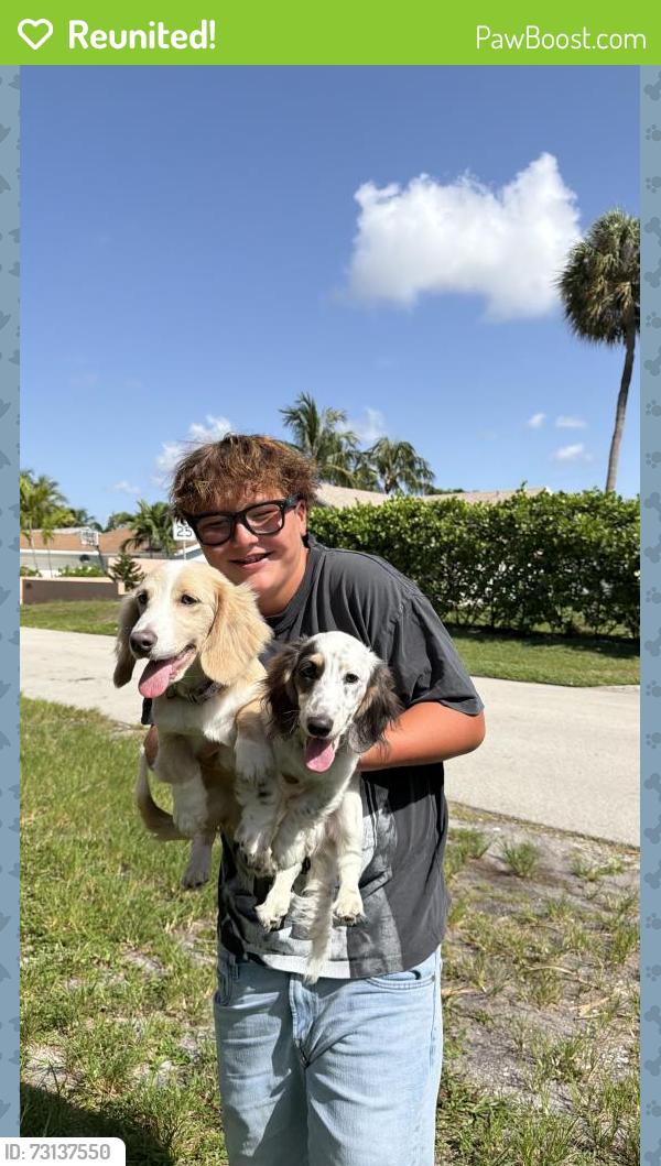 Reunited Unknown Dog last seen 18th Street & 12th, Boca Raton, FL 33486