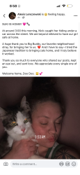 Reunited Female Cat last seen W110th and Lorain ave, Cleveland, OH 44111