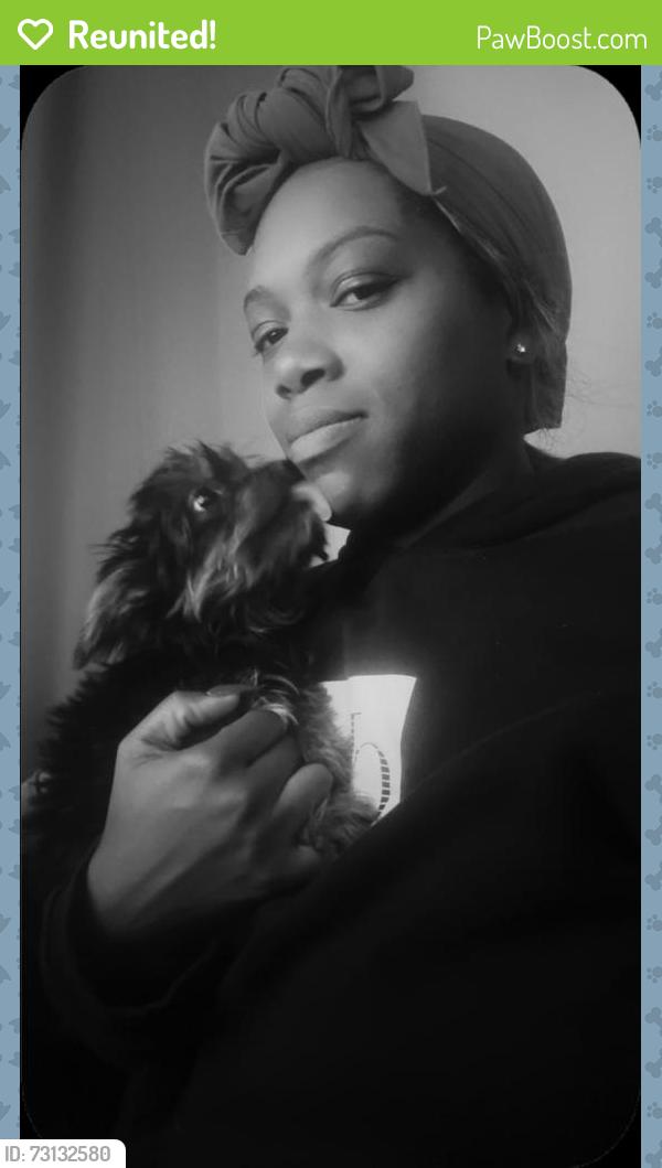 Reunited Male Dog last seen Edge o lake , advance finical plaza, Nashville, TN 37217