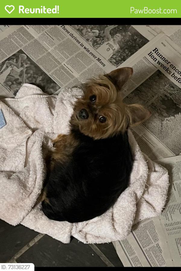 Reunited Male Dog last seen Pulaski st & School house lane, Philadelphia, PA 19144