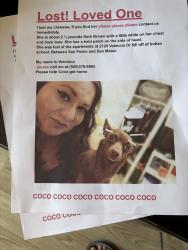 Reunited Female Dog last seen San Pedro and San Mateo, Albuquerque, NM 87110