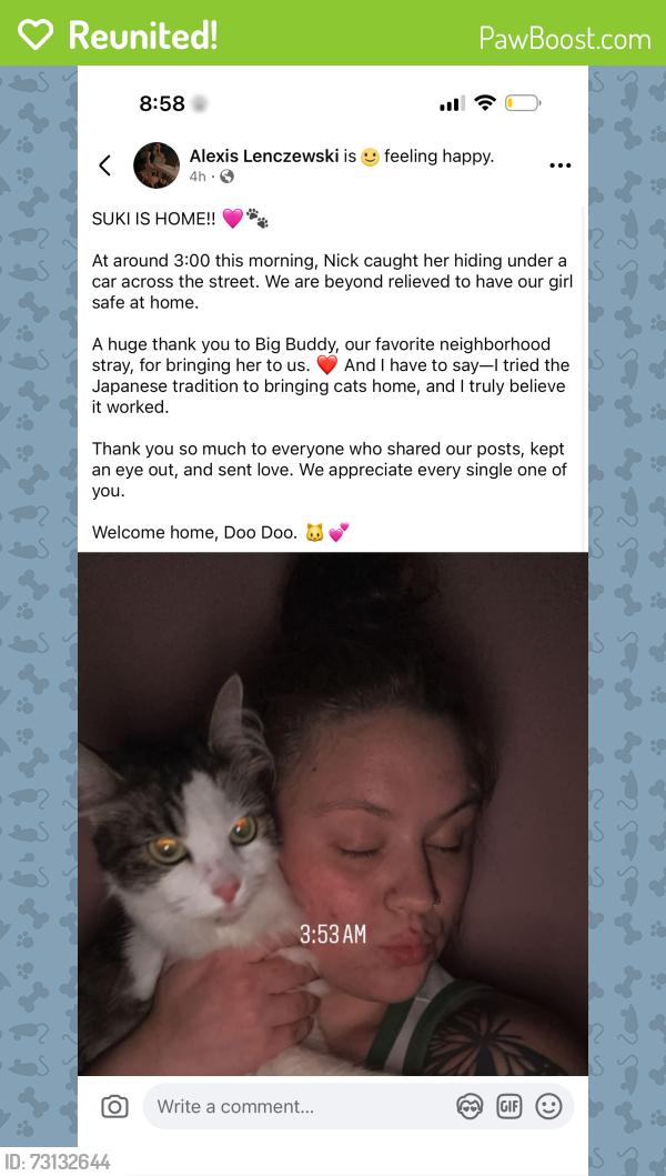 Reunited Female Cat last seen W110th and Lorain ave, Cleveland, OH 44111