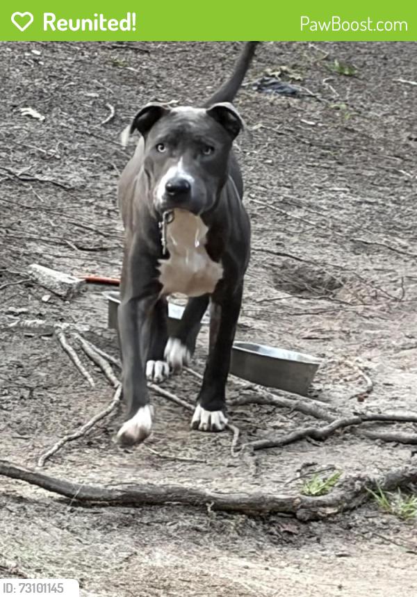 Reunited Male Dog last seen Watersedge dr, Fayetteville, NC 28314