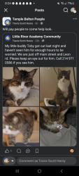 Lost Male Cat last seen Leon rd and main street, Little River-Academy, TX 76554