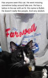 Lost Male Cat last seen Como park, Lancaster, NY 14086
