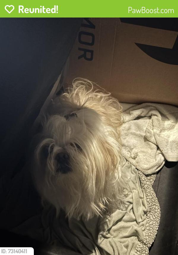 Reunited Unknown Dog last seen Port St Lucie, Port St. Lucie, FL 34986
