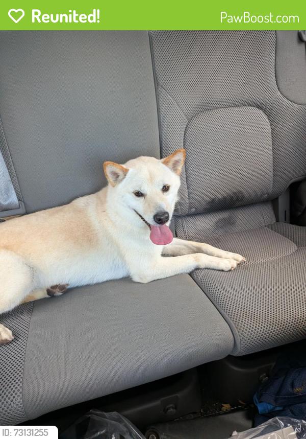 Reunited Unknown Dog last seen Shady Woods Market, Conroe, TX 77301