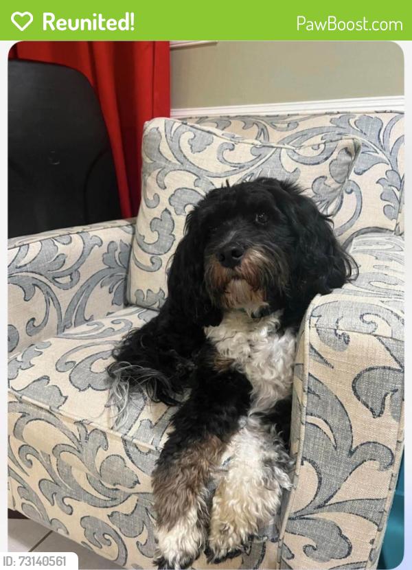 Reunited Male Dog last seen Riggs rd Hyattsville, Hyattsville, MD 20783
