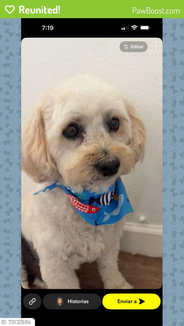 Reunited Male Dog last seen Arkansas and Reed st in lakewood, Lakewood, CO 80232
