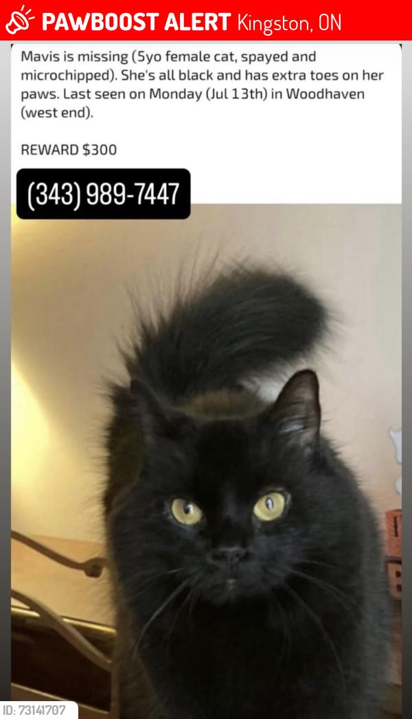 Lost Female Cat last seen Crimson Crescent (Woodhaven, West end), Kingston, ON 