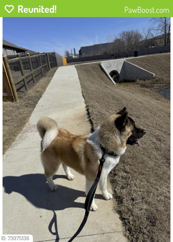 Reunited Male Dog last seen 257th s and e 86th, Broken Arrow, OK 74012
