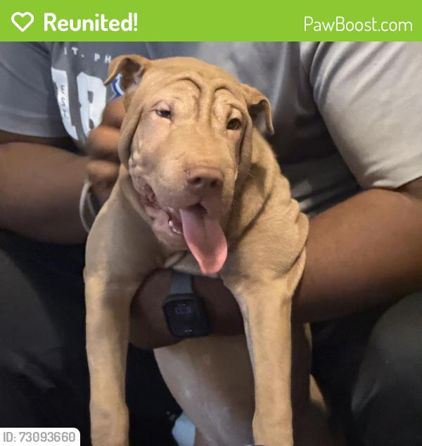 Reunited Female Dog last seen Stanley way, Seguin, TX 78155