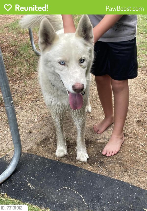 Reunited Male Dog last seen N. Edgemont and Los Flores, San Bernardino, CA 92404