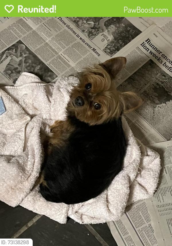Reunited Male Dog last seen Pulaski and school hse ln, Philadelphia, PA 19144