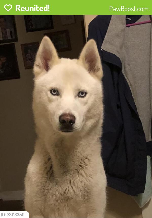 Reunited Male Dog last seen Middle School/ Welders Institute/Hot Spot by the CSRA entrance., New Ellenton, SC 29809