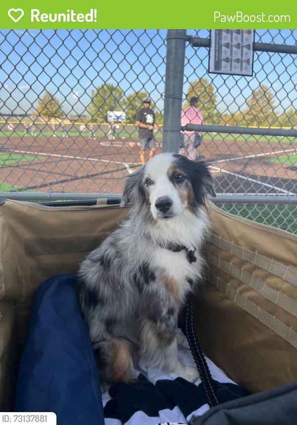 Reunited Male Dog last seen White Creek Rd and River Rd in College Station, College Station, TX 77845