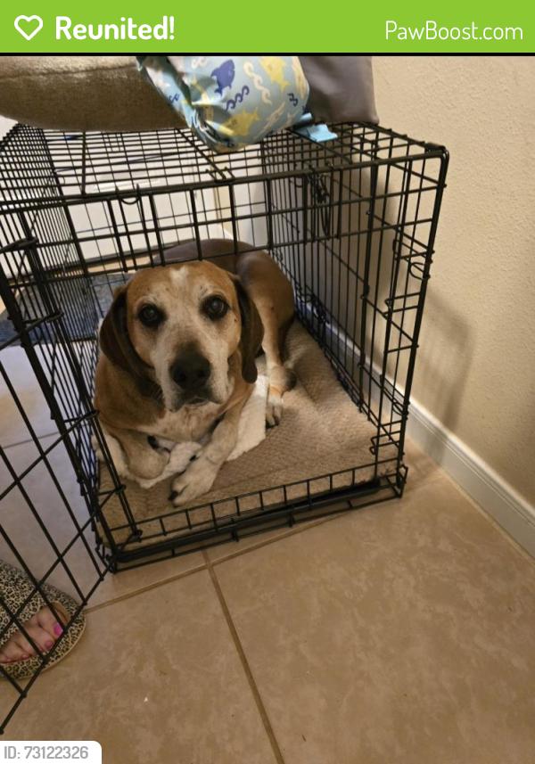 Reunited Male Dog last seen Shepherd Tram Rd. & Green Rd., Shepherd, TX 77371
