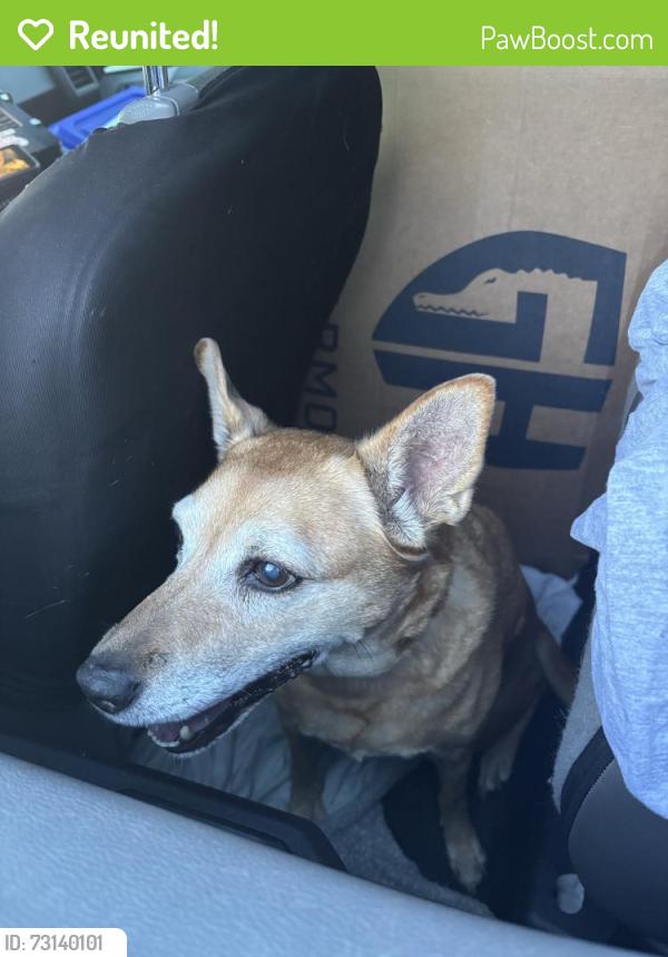 Reunited Unknown Dog last seen Port St Lucie, Port St. Lucie, FL 34986