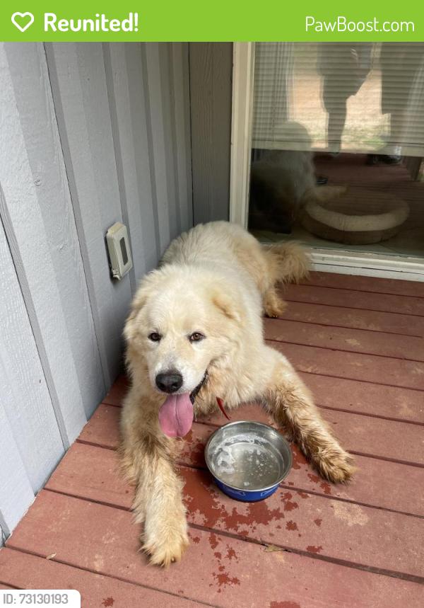 Reunited Male Dog last seen Davis Rd Waxhaw, NC, Waxhaw, NC 28173