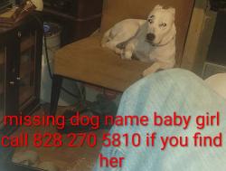 Lost Female Dog last seen Near timberwood dr. lenoir nc, Cajah's Mountain, NC 28645