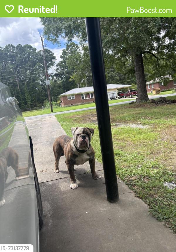Reunited Male Dog last seen Near Simpson Dr NW, Rome, GA 30165, USA, Rome, GA 30165