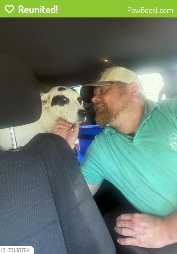 Reunited Female Dog last seen Massey Neighborhood in Fort Mill, SC - Suffolk Pl/Nellie's Way, Fort Mill, SC 29715