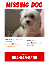 Reunited Female Dog last seen NW 59th Way and NW 19th Street by Royal Palm Elementary School, Sunrise, FL 33313