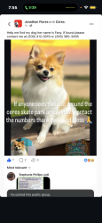 Reunited Female Dog last seen Near Fowler Rd Ceres, CA 95307 United States, Ceres, CA 95307