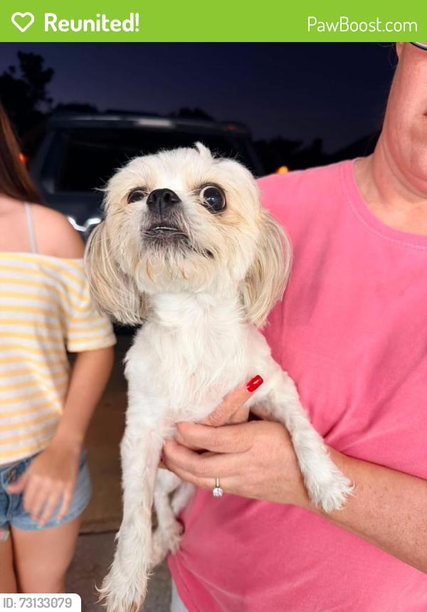 Reunited Female Dog last seen SW 125th St in Rivendell, Oklahoma City, OK 73170