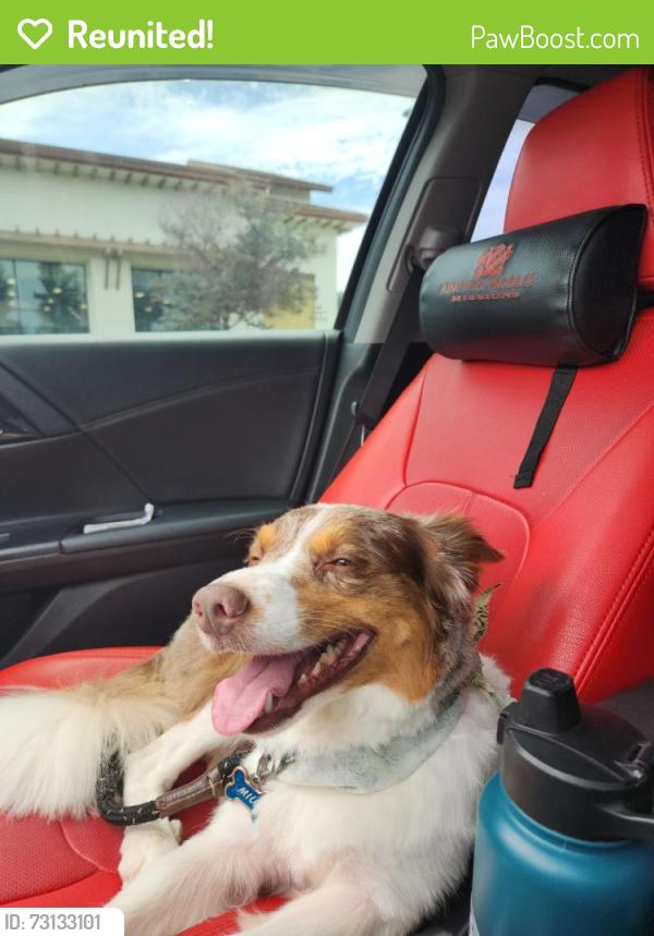 Reunited Male Dog last seen Standiford, Modesto, CA 95350