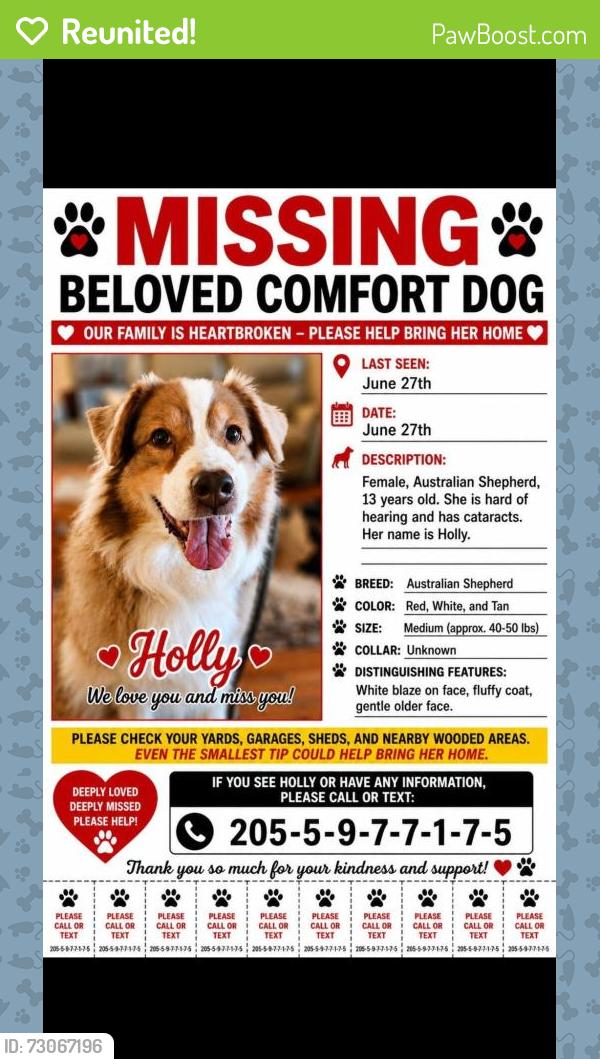 Reunited Female Dog last seen Hwy 26, Alabaster, AL 35007