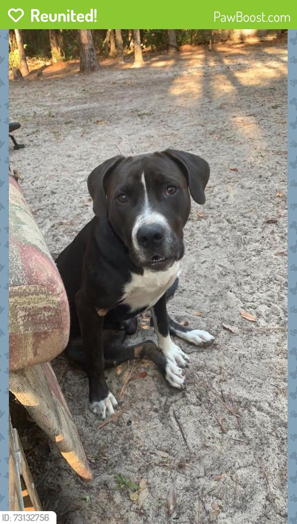 Reunited Male Dog last seen NE 30th st & 83rd, Gilchrist County, FL 32643
