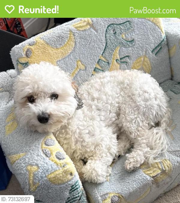 Reunited Male Dog last seen Country Club Rd & Old Farm Rd, Oxford, OH 45056