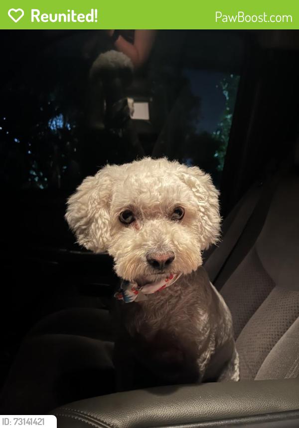Reunited Female Dog last seen Mitchell Ave, Riverside, CA 92505, USA, Riverside, CA 92505