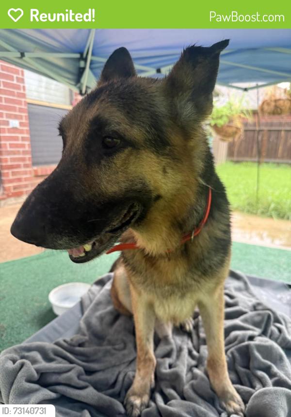 Reunited Male Dog last seen The Islands, Texas City, Texas City, TX 77590