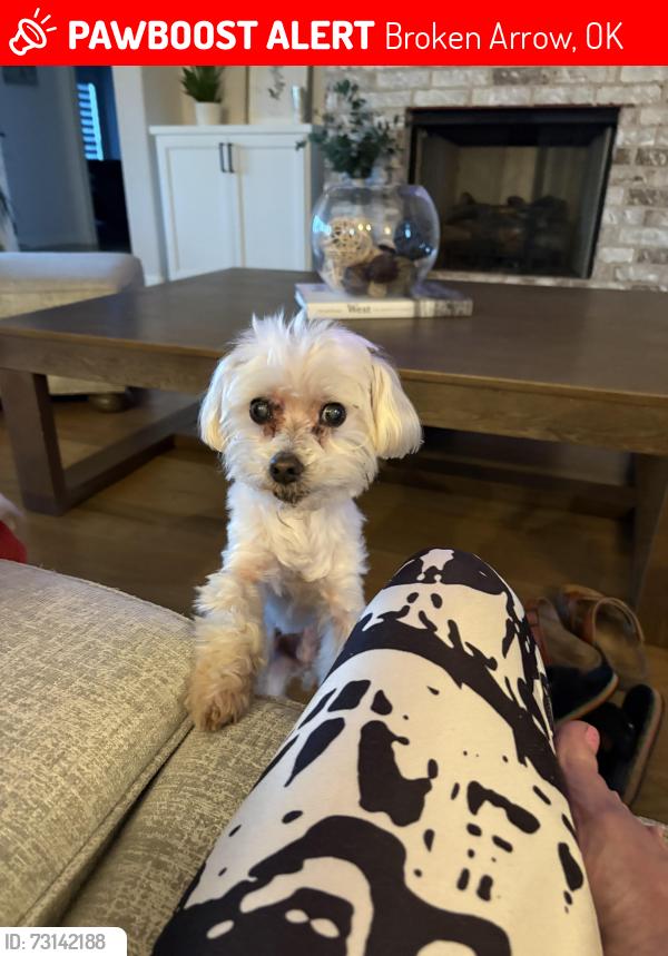 Lost Male Dog last seen 209th & 114th street near broken arrow/ coweta, Broken Arrow, OK 74014